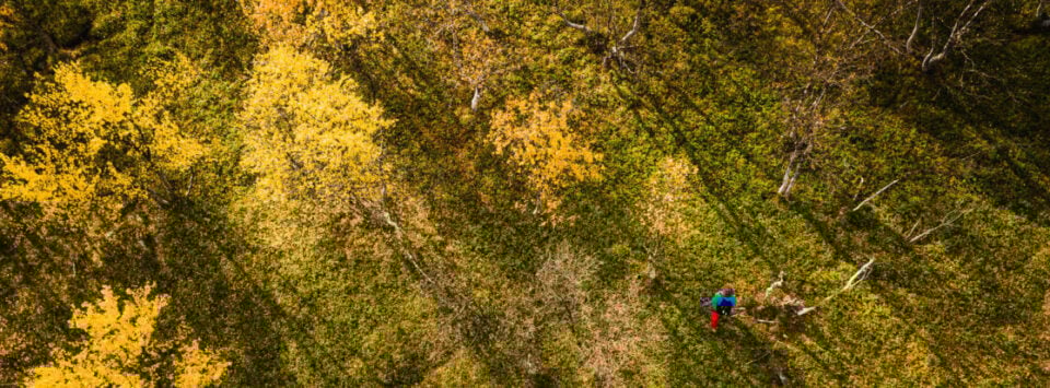 Frisbeegolf
