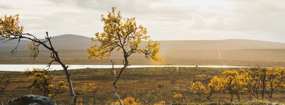 Kaldoaivi wilderness area