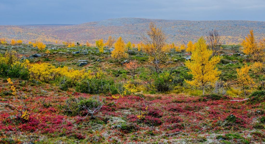 Kaldoaivi | Explore Utsjoki