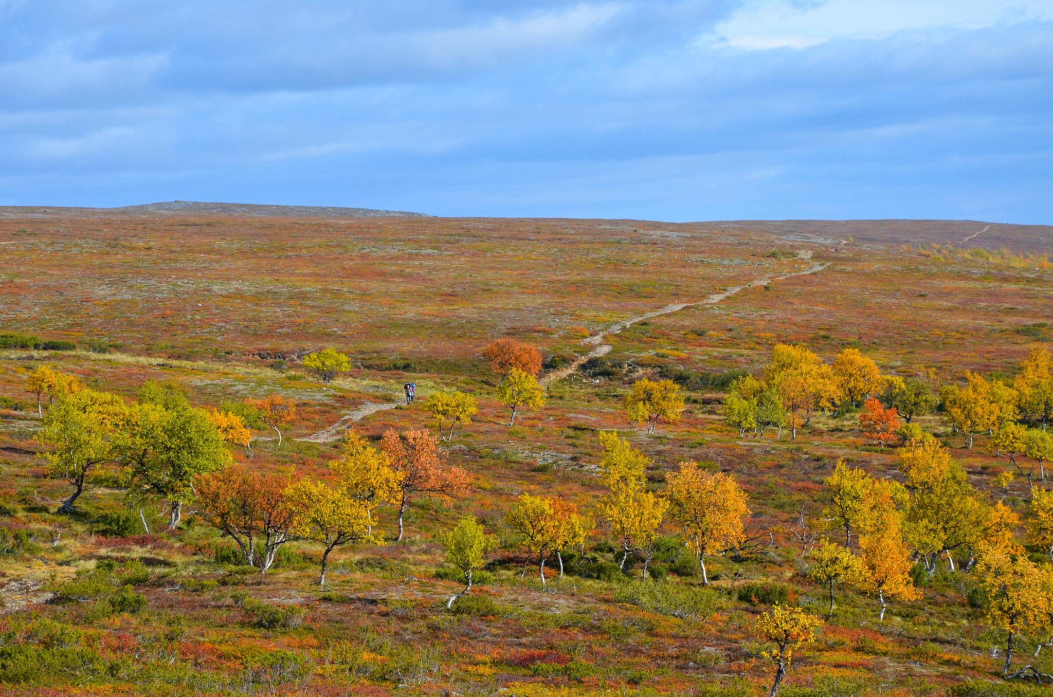 Kevon luonnonpuiston reitit - Explore Utsjoki