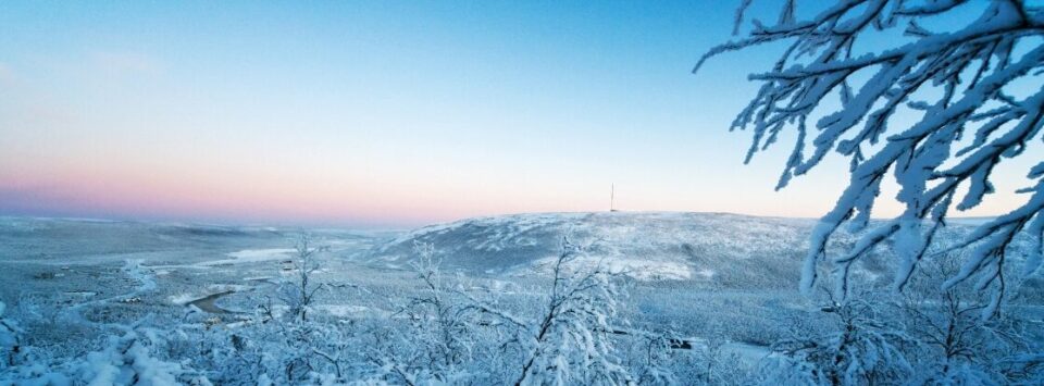 The Polar Night