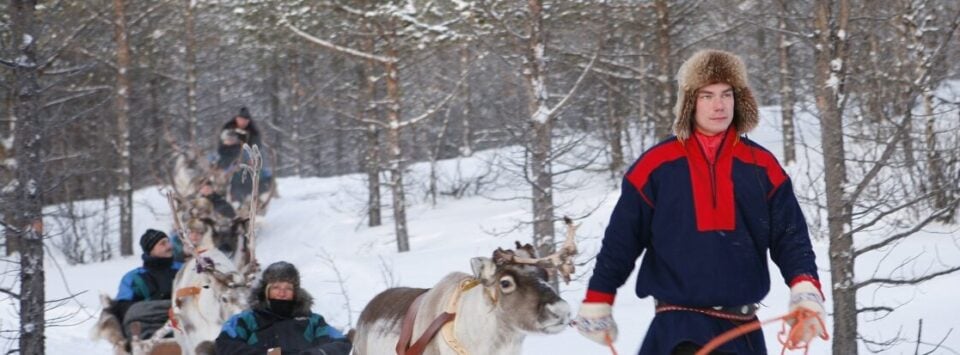 Reindeer activities