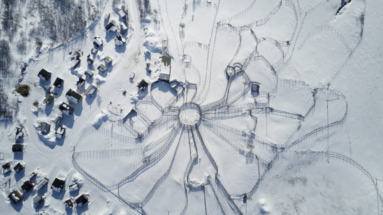 Vastuullisuus poronhoidossa - Explore Utsjoki 1